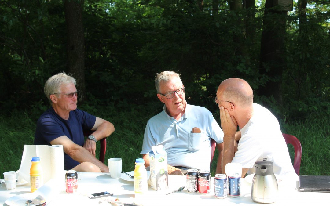 Sommerfest i Plantagen