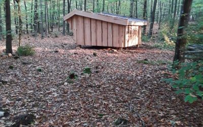 Ny shelter i skoven ved Familiehytten
